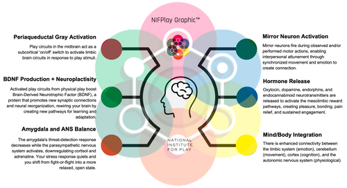 Neuroscience of Play Graphic