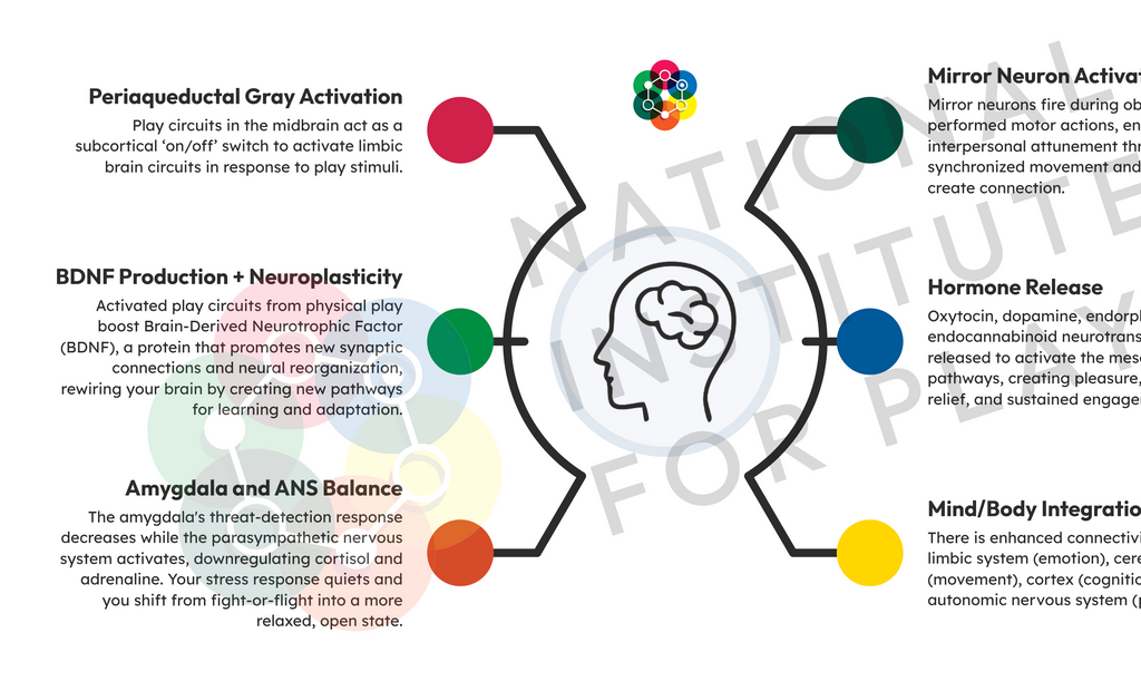 Neuroscience of Play Graphic