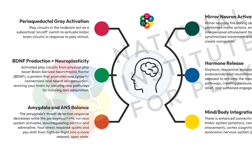 Neuroscience of Play Graphic